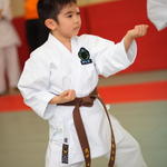 2012-03-11-Karate test 232 resized