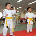 2013-04-28-Karate test038