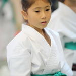 2009-10-11-Karate test 091 resize