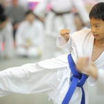 2009-10-11-Karate test 119 resize