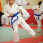 2012-03-11-Karate test 223 resized