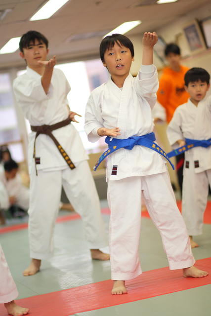 2012-03-11-Karate test 226 resized