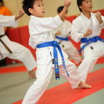 2012-03-11-Karate test 233 resized
