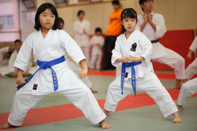 2012-03-11-Karate test 236 resized