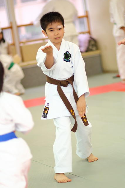 2012-03-11-Karate test 240 resized