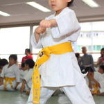 2013-04-28-Karate test040