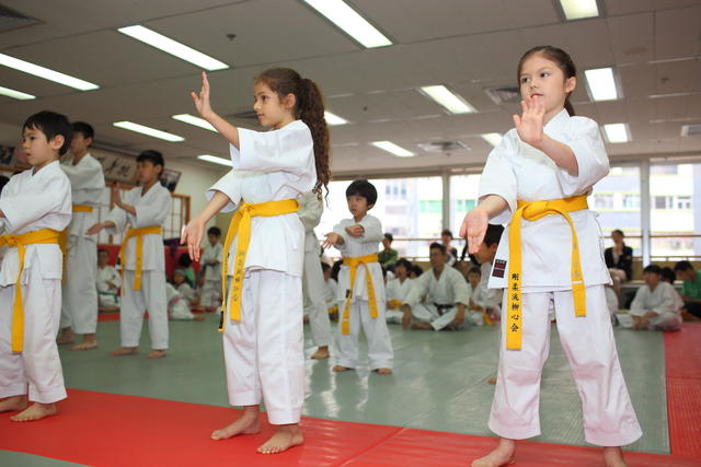 2013-04-28-Karate test044