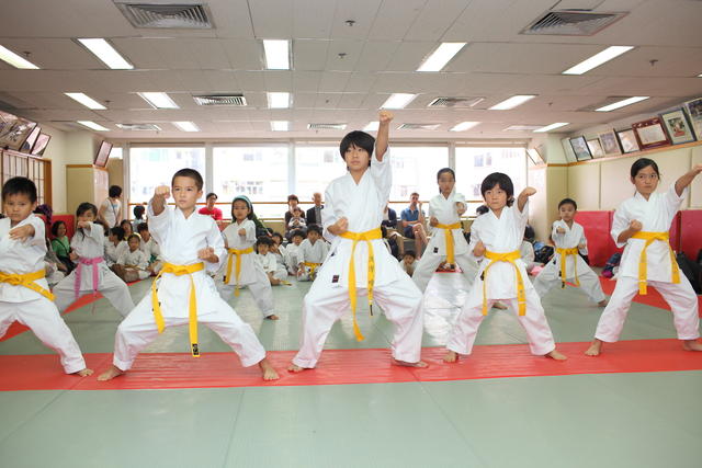 2013-04-28-Karate test048