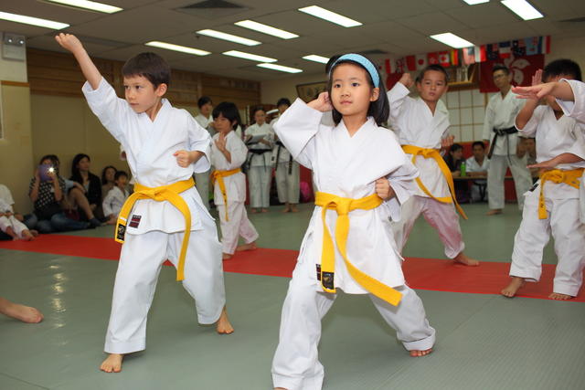 2013-04-28-Karate test053