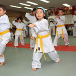 2013-04-28-Karate test054
