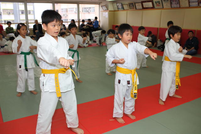 2013-04-28-Karate test056