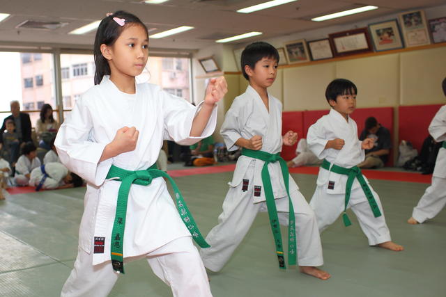 2013-04-28-Karate test057
