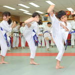 2013-04-28-Karate test071