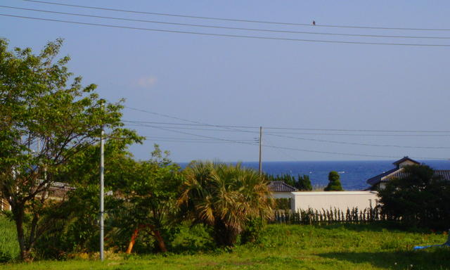 DSC00444