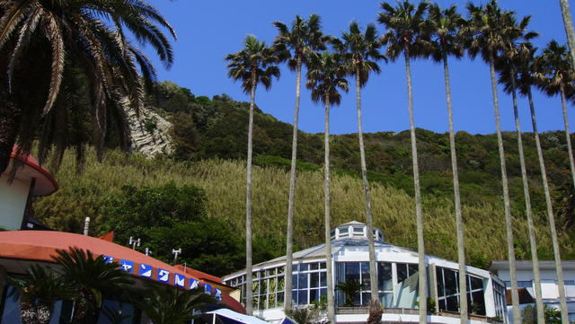 DSC00352