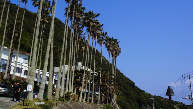 DSC00355