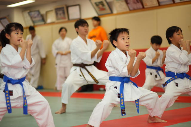 2012-03-11-Karate test 229 resized