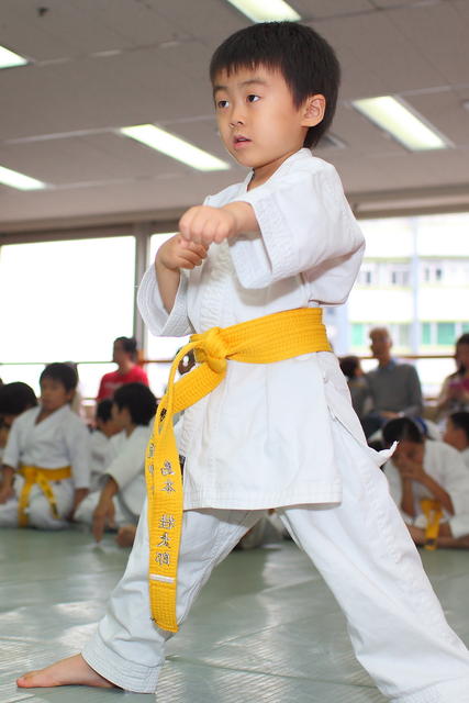 2013-04-28-Karate test040