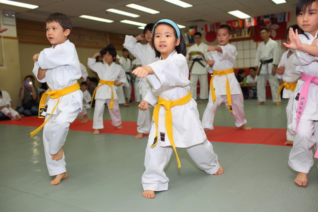 2013-04-28-Karate test054
