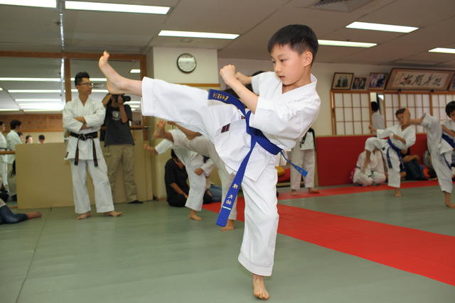 2013-04-28-Karate test069