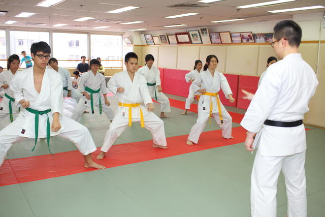 2013-04-28-Karate test089